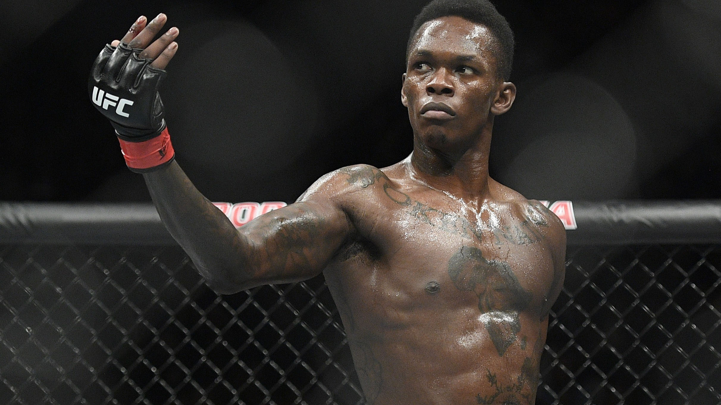 Israel Adesanya Israel Mobolaji Temitayo Odunayo Oluwafemi Owolabi Adesanya (born 22 July 1989) is a Nigerian-born New Zealand professional mixed martial artist, and ...